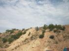 thm_AUT15724.jpg